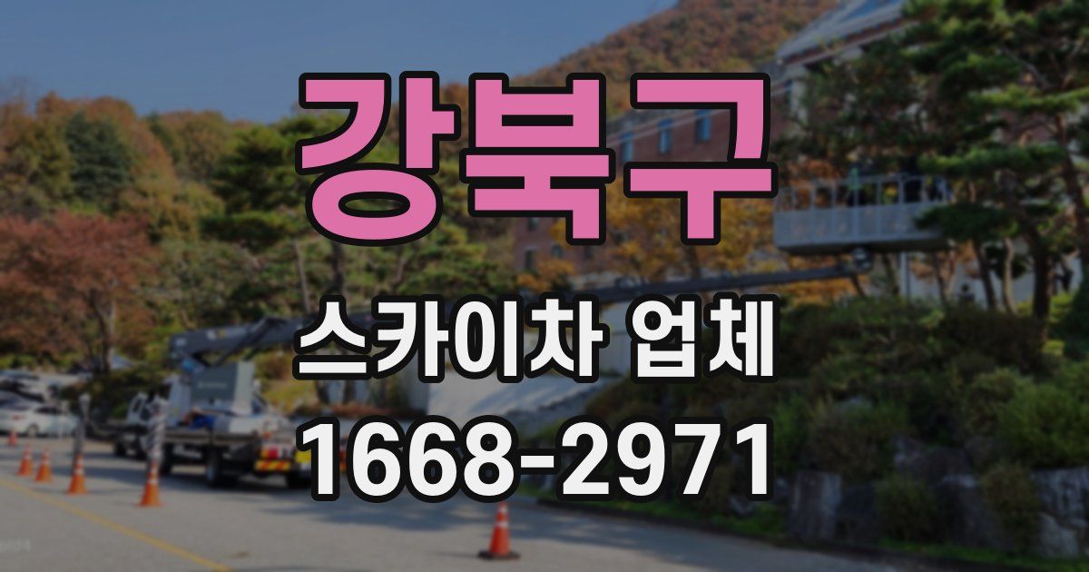 강북구 스카이차 업체