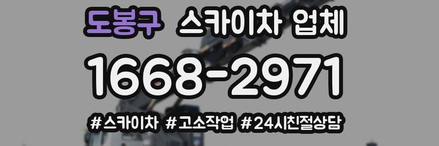 도봉구 스카이차 업체