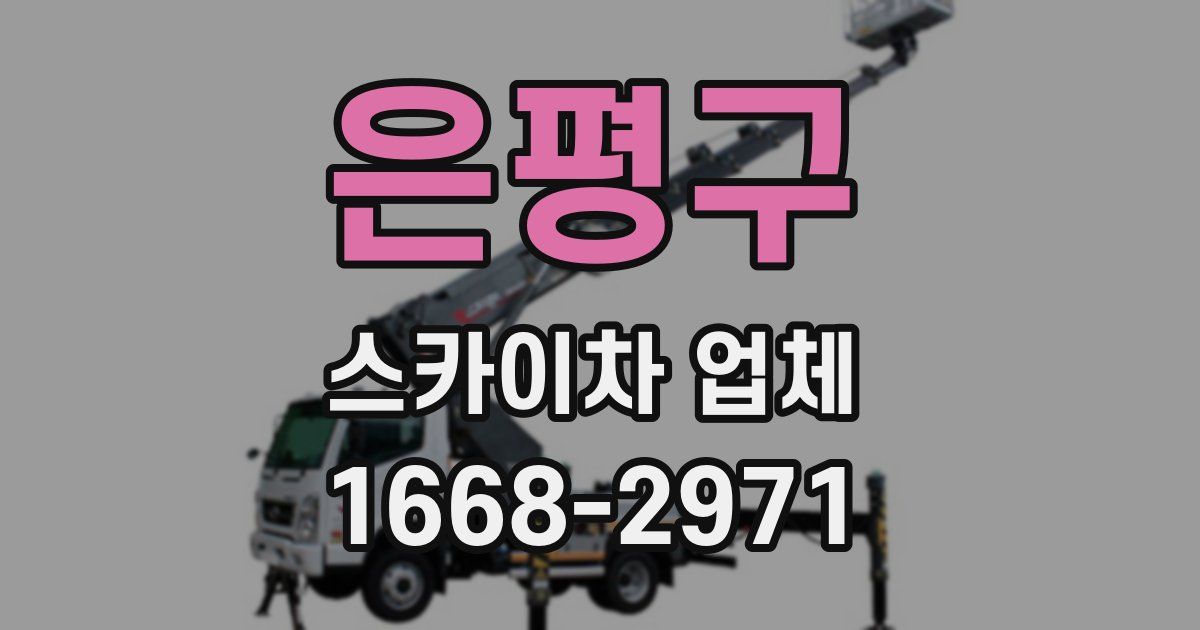 은평구 스카이차 업체