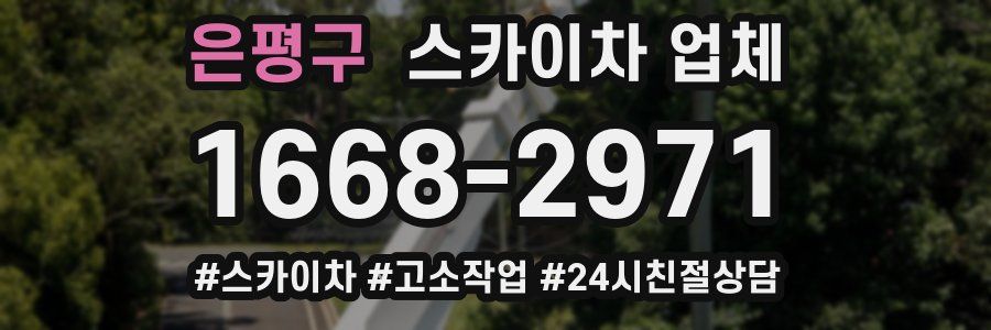 은평구 스카이차 업체