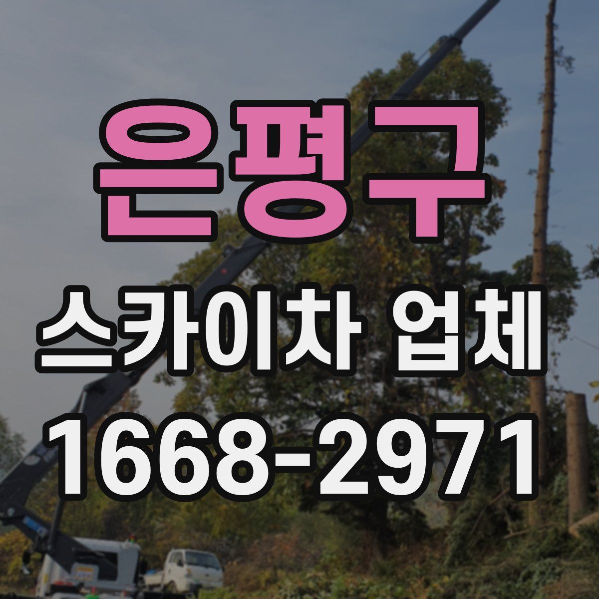 은평구 스카이차 업체
