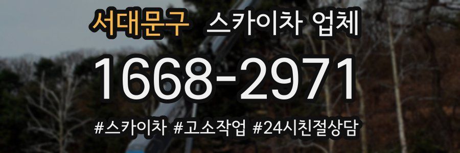서대문구 스카이차 업체