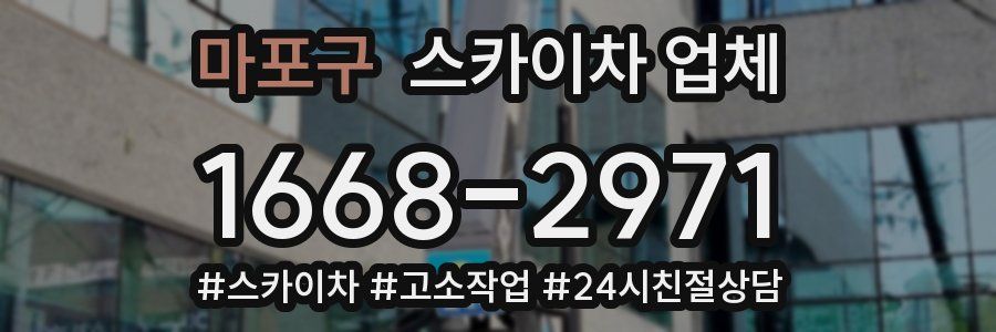 마포구 스카이차 업체