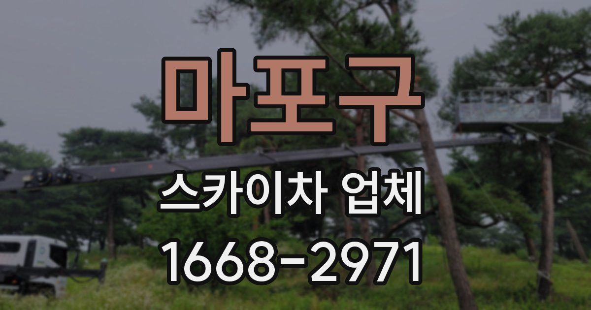 마포구 스카이차 업체