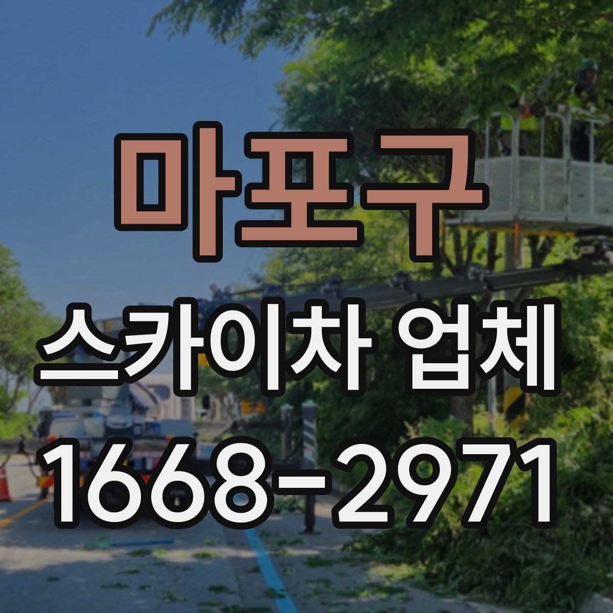 마포구 스카이차 업체