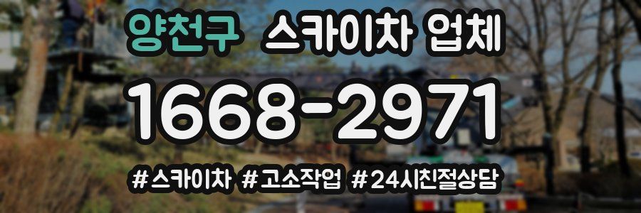 양천구 스카이차 업체