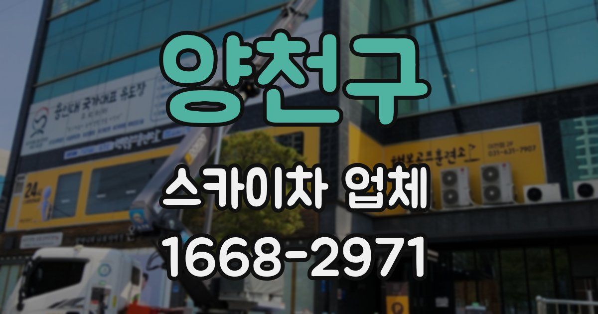 양천구 스카이차 업체