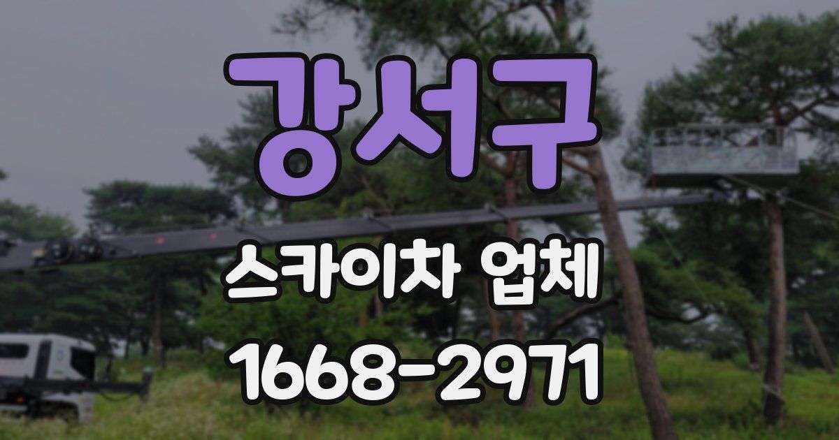 강서구 스카이차 업체