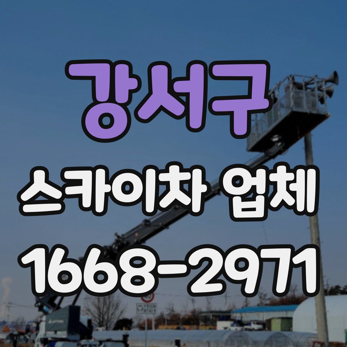 강서구 스카이차 업체