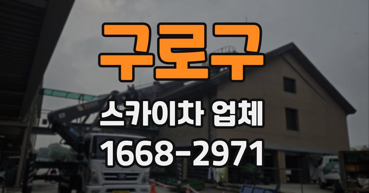 구로구 스카이차 업체