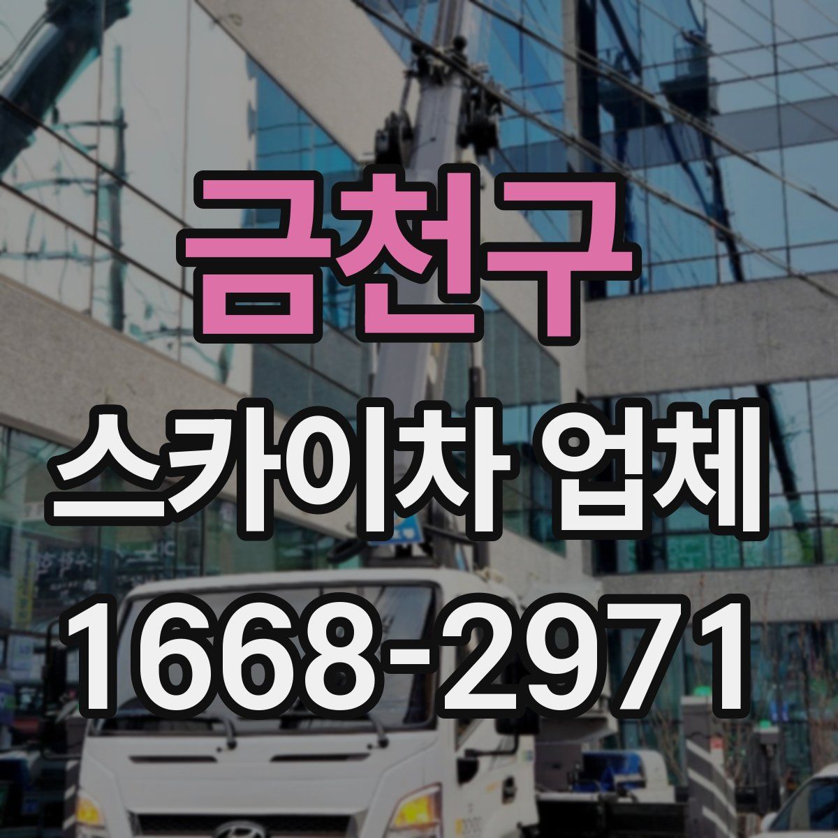금천구 스카이차 업체