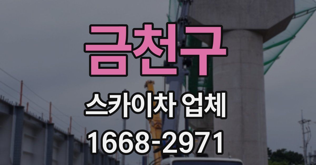 금천구 스카이차 업체