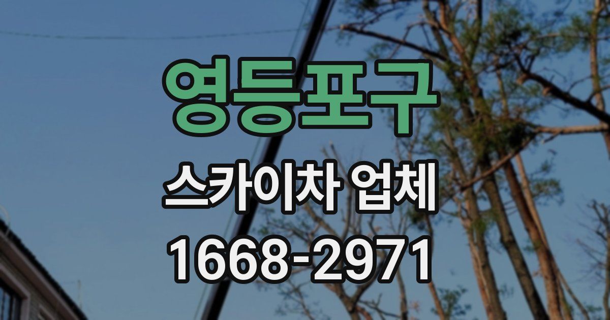 영등포구 스카이차 업체