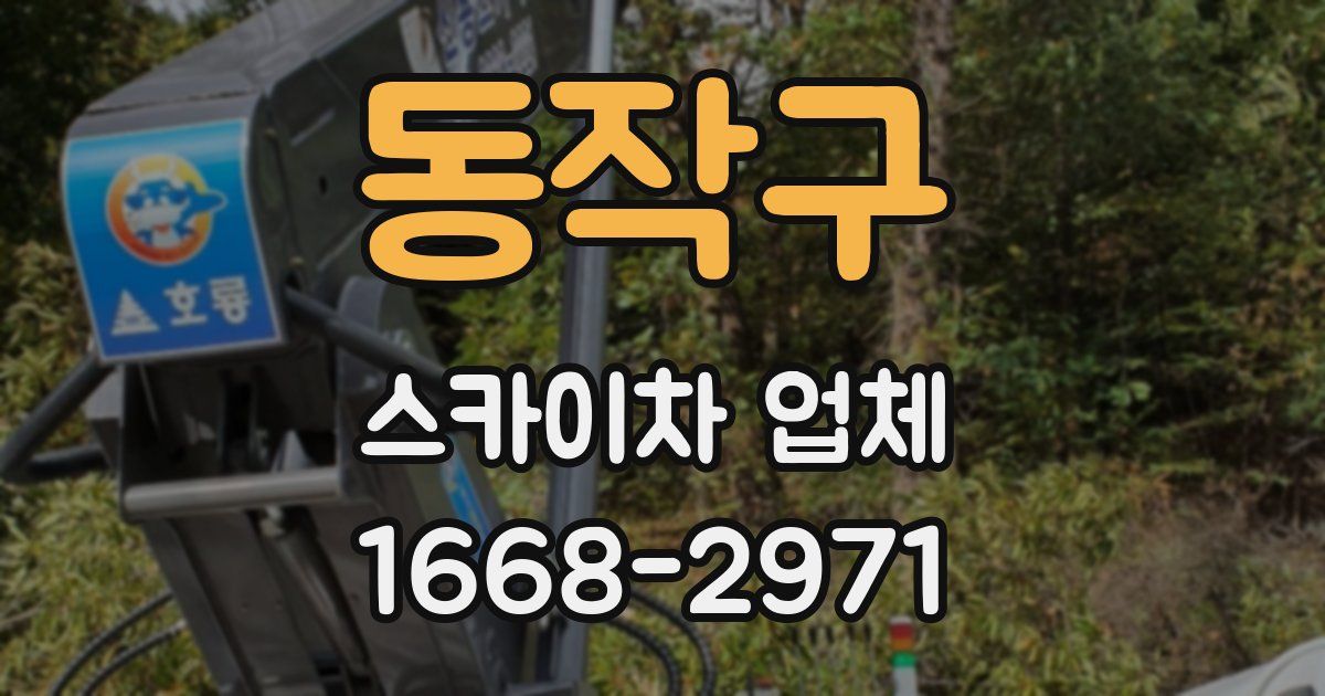 동작구 스카이차 업체