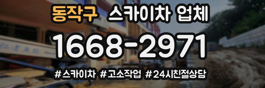 동작구 스카이차 업체