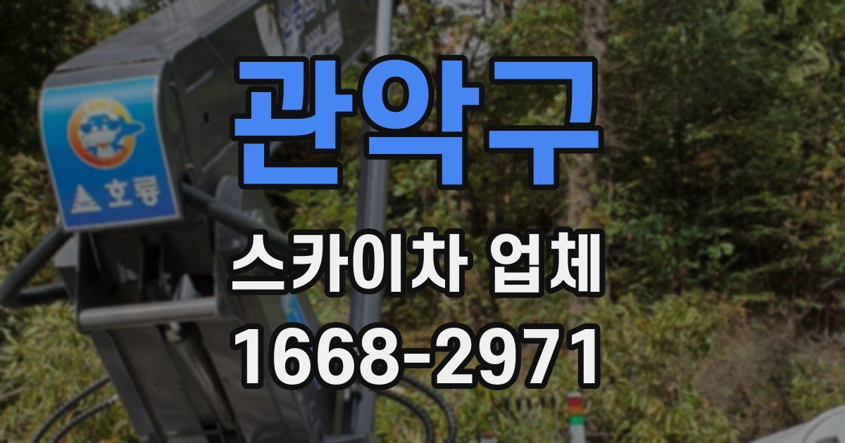 관악구 스카이차 업체