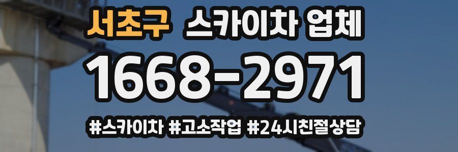 서초구 스카이차 업체