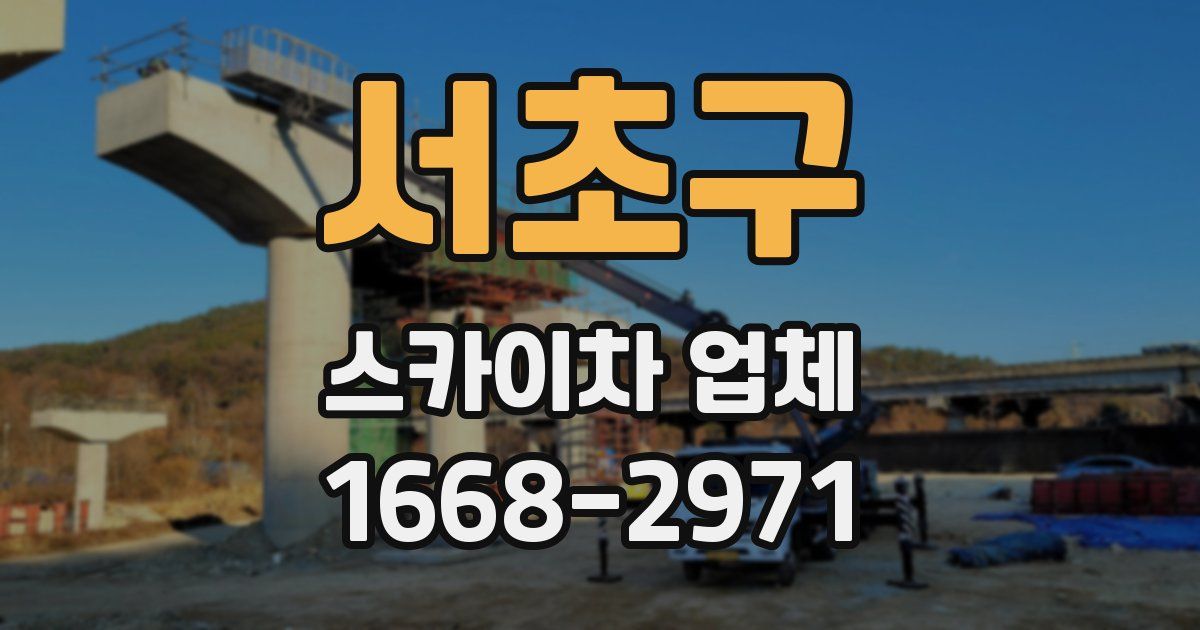 서초구 스카이차 업체
