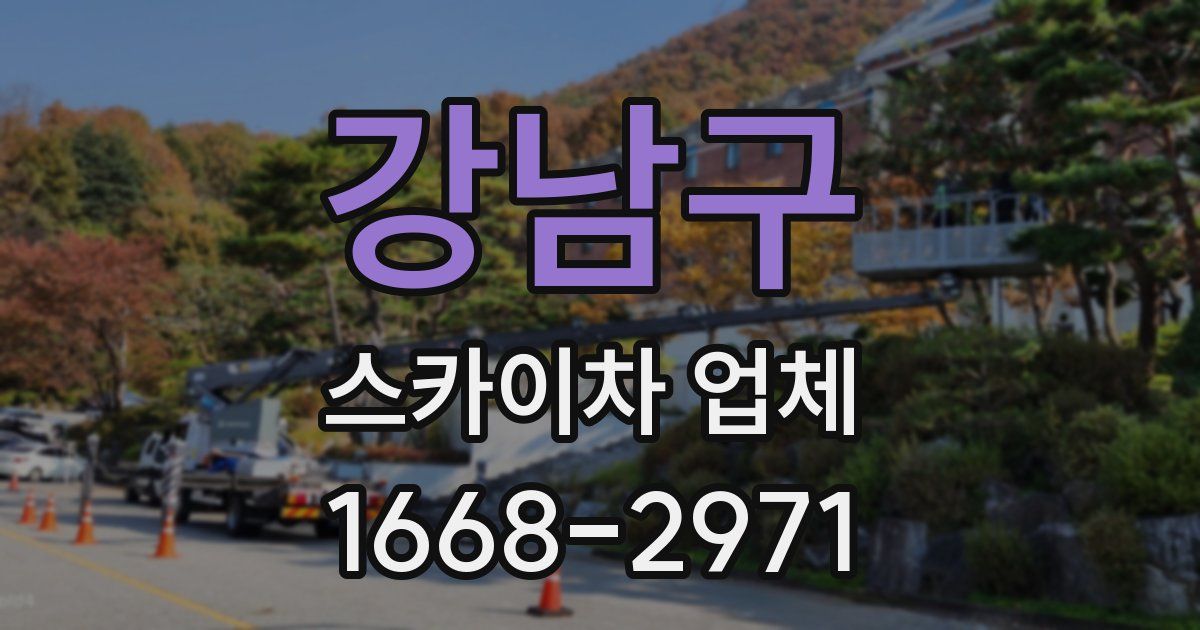 강남구 스카이차 업체
