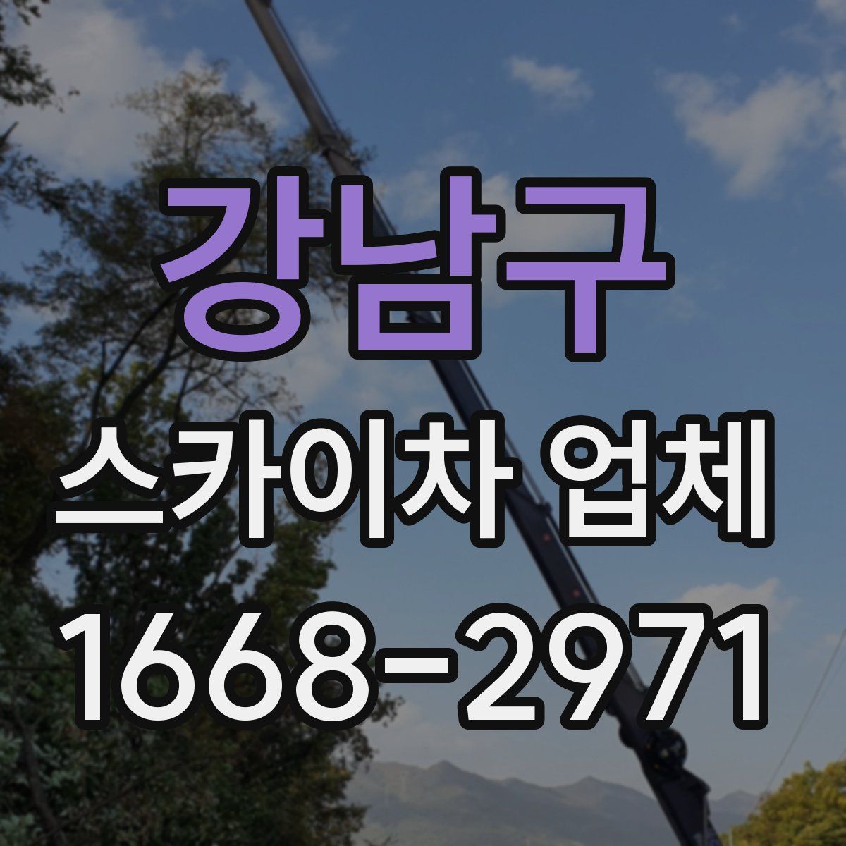 강남구 스카이차 업체