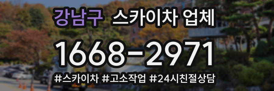 강남구 스카이차 업체