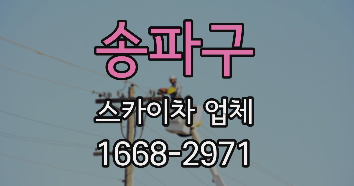 송파구 스카이차 업체
