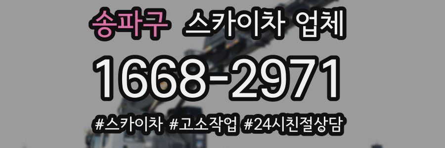 송파구 스카이차 업체