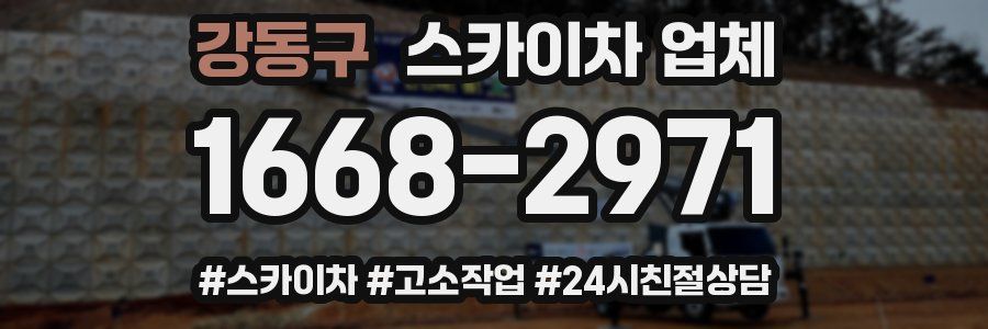강동구 스카이차 업체