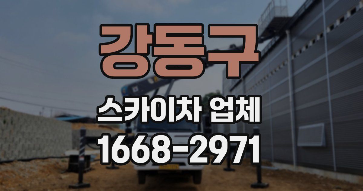 강동구 스카이차 업체