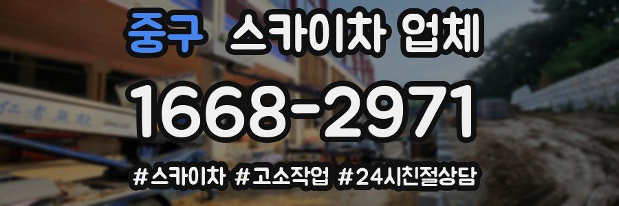 중구 스카이차 업체
