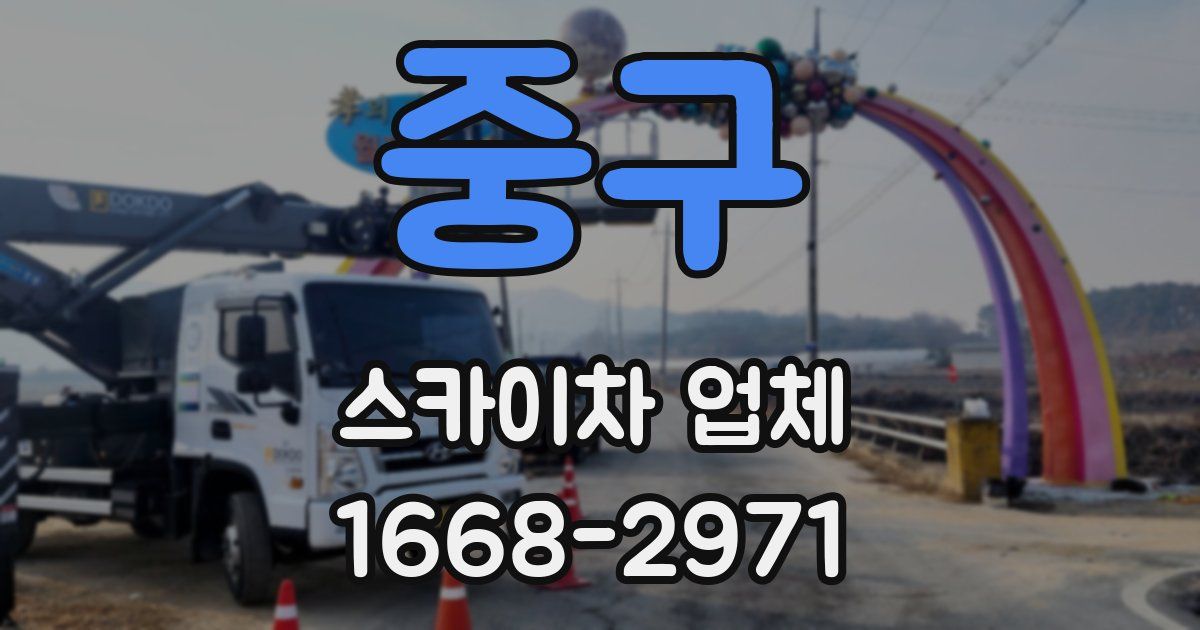 중구 스카이차 업체