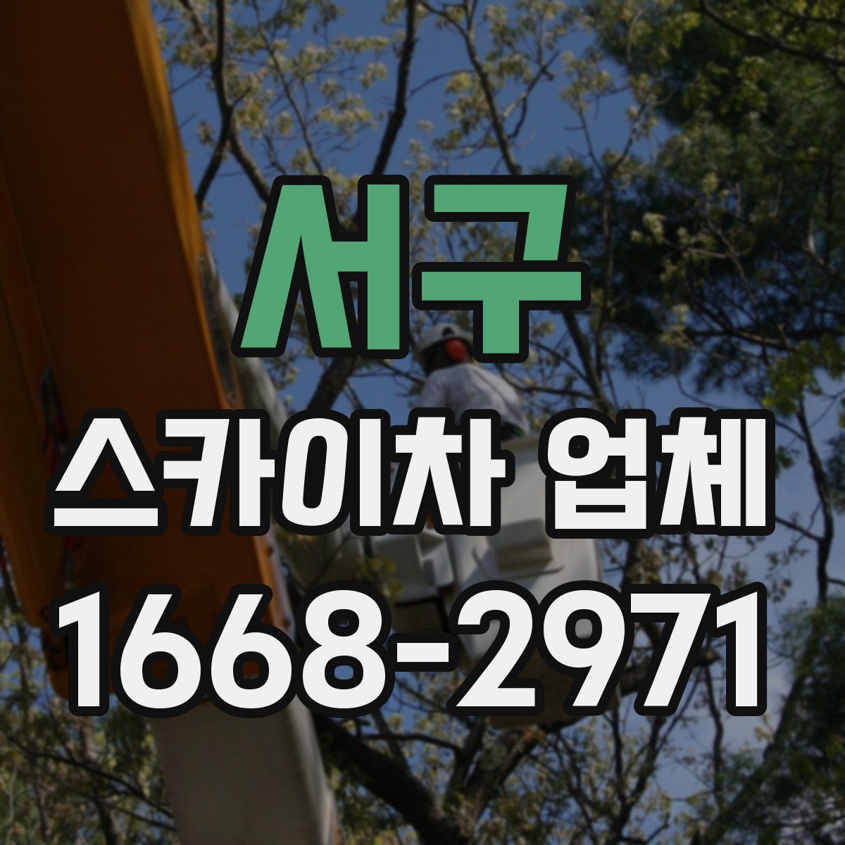 서구 스카이차 업체