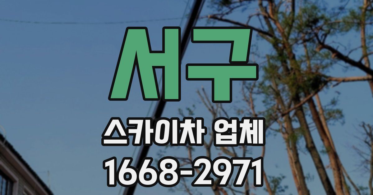 서구 스카이차 업체