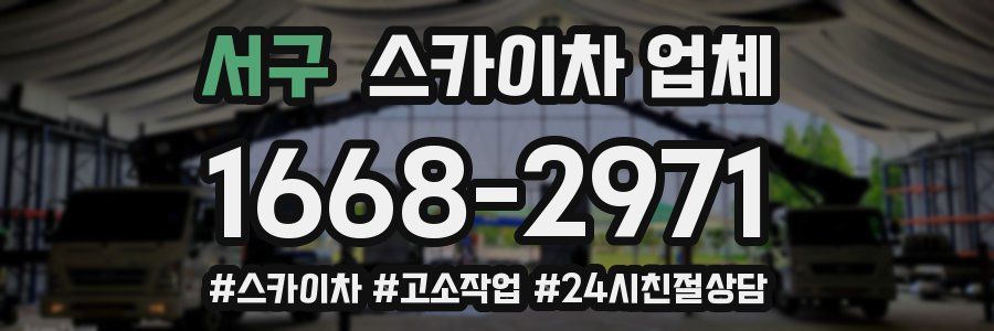 서구 스카이차 업체