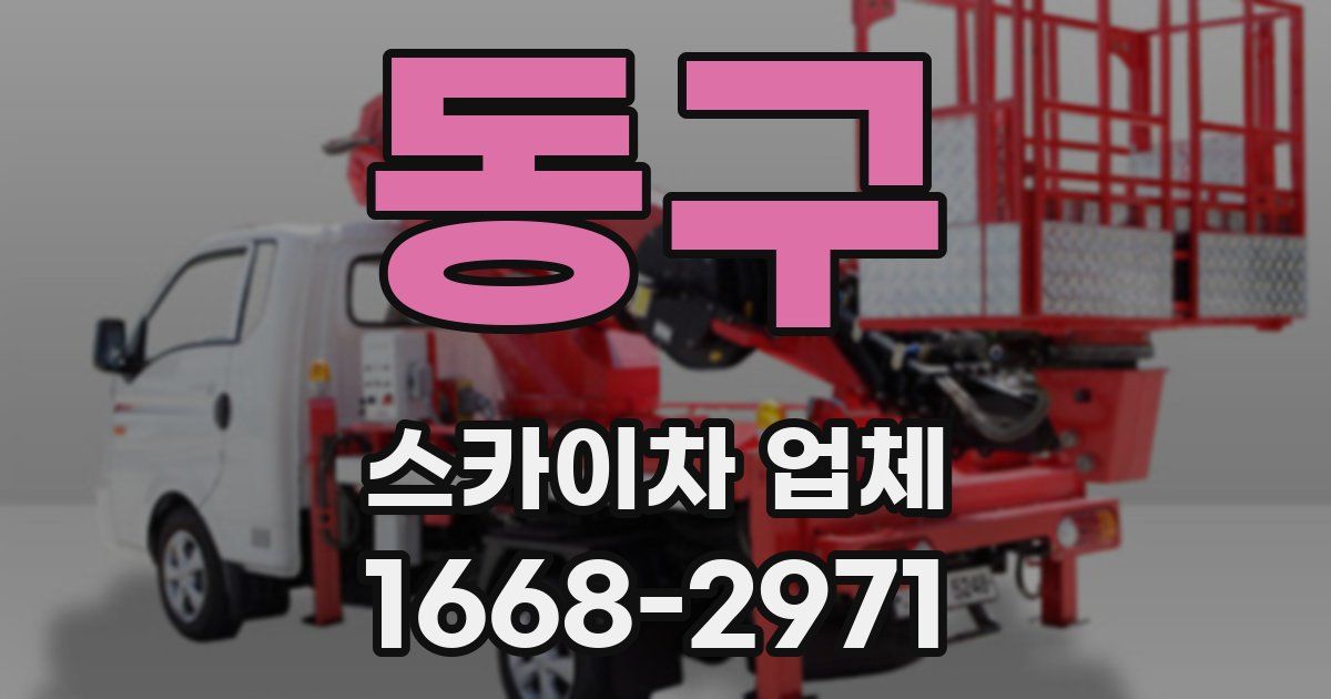 동구 스카이차 업체