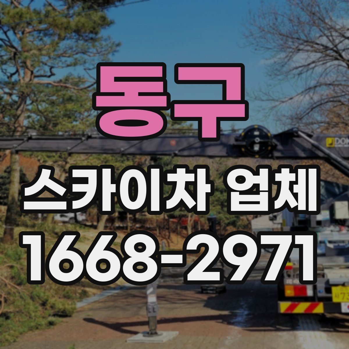 동구 스카이차 업체