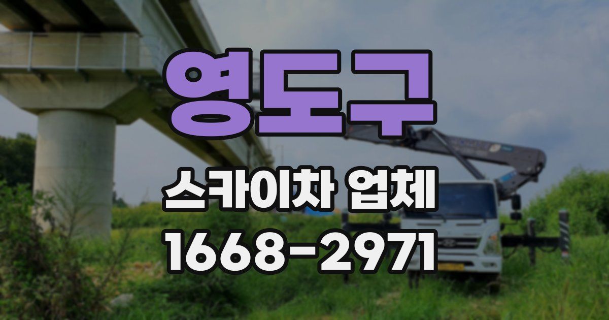 영도구 스카이차 업체