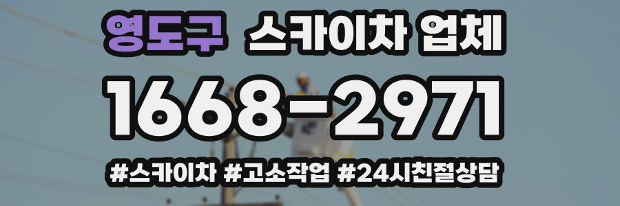 영도구 스카이차 업체
