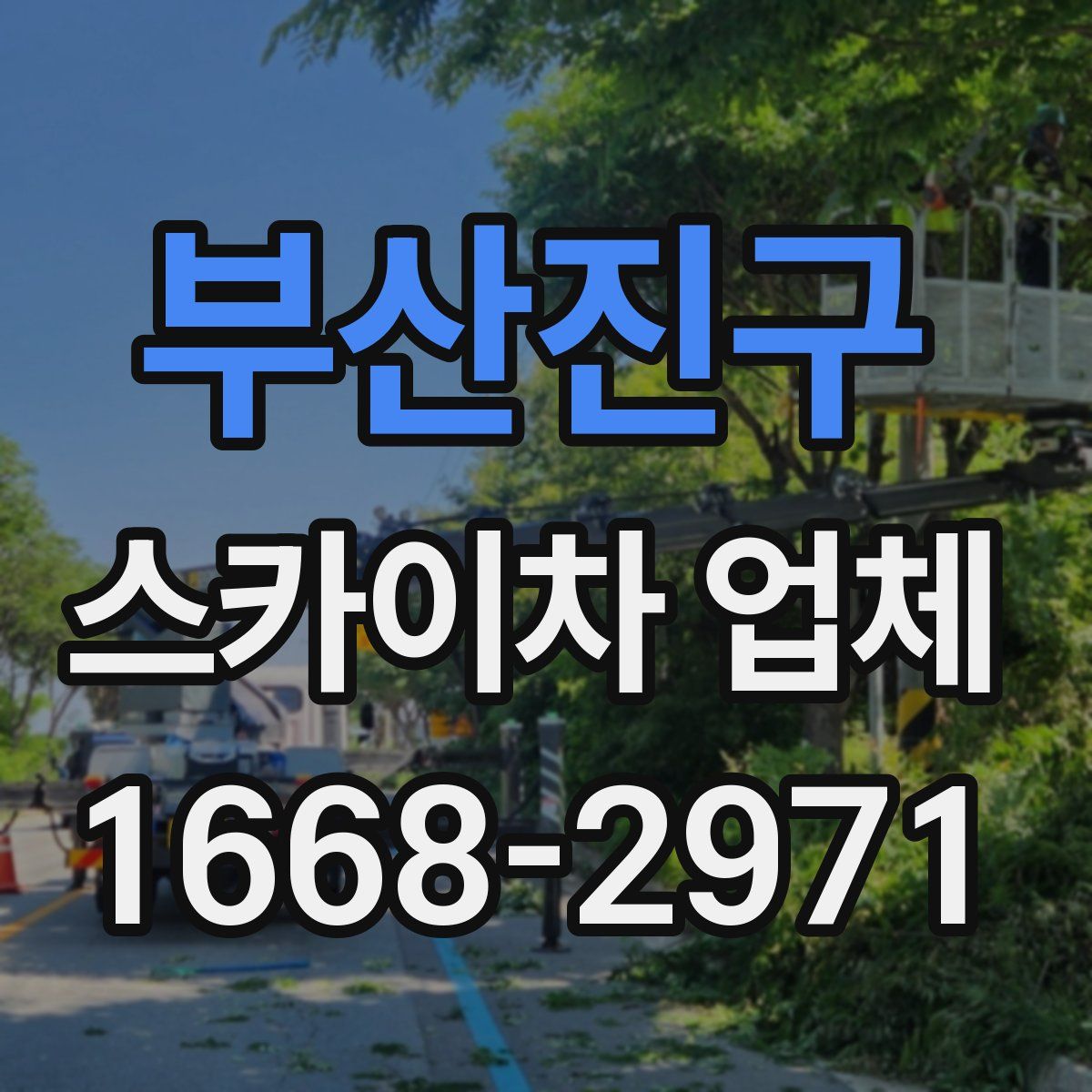 부산진구 스카이차 업체