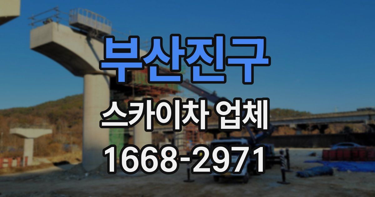 부산진구 스카이차 업체