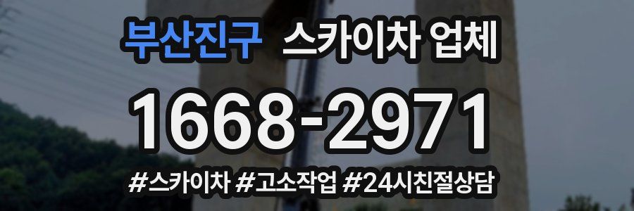 부산진구 스카이차 업체