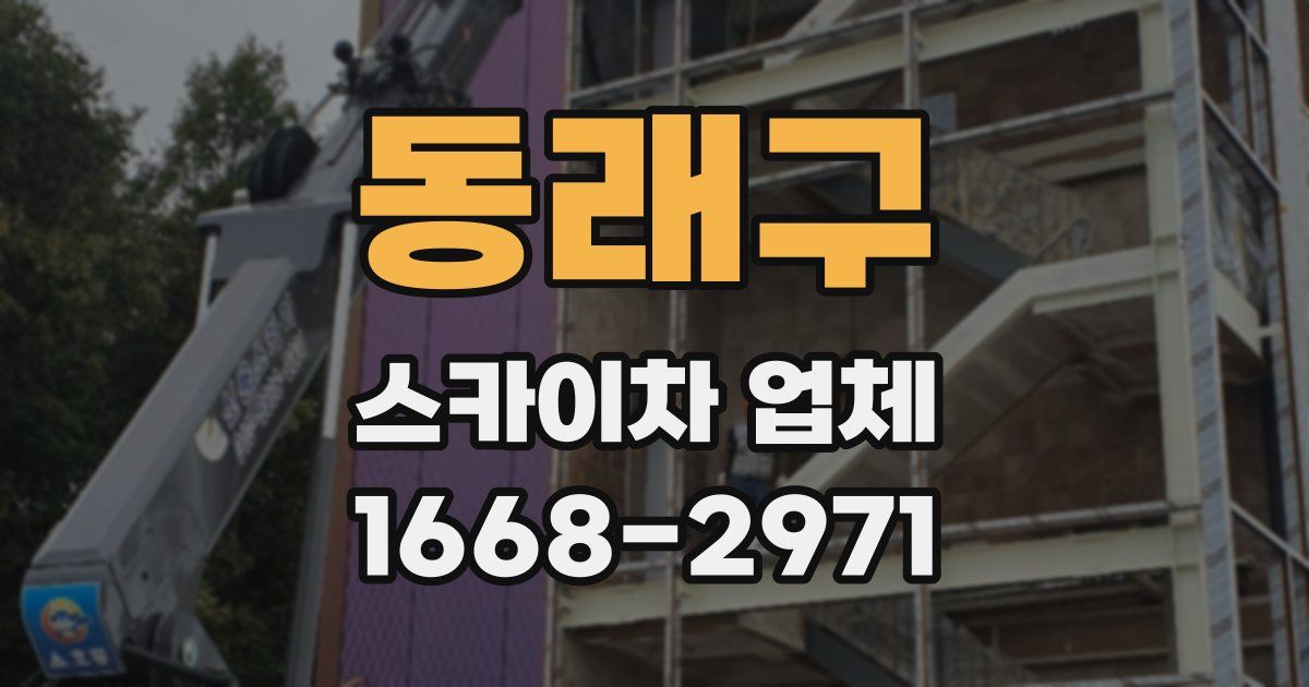 동래구 스카이차 업체
