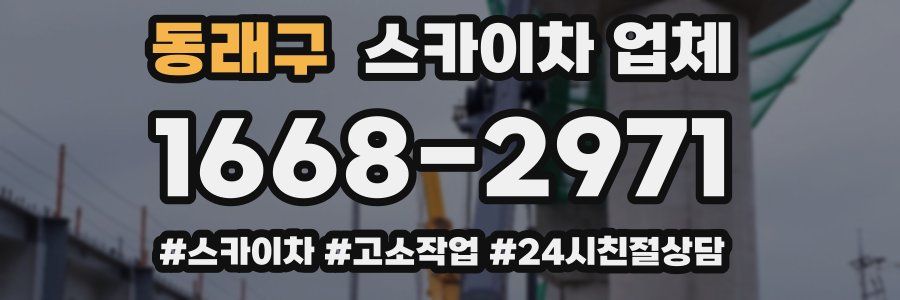 동래구 스카이차 업체