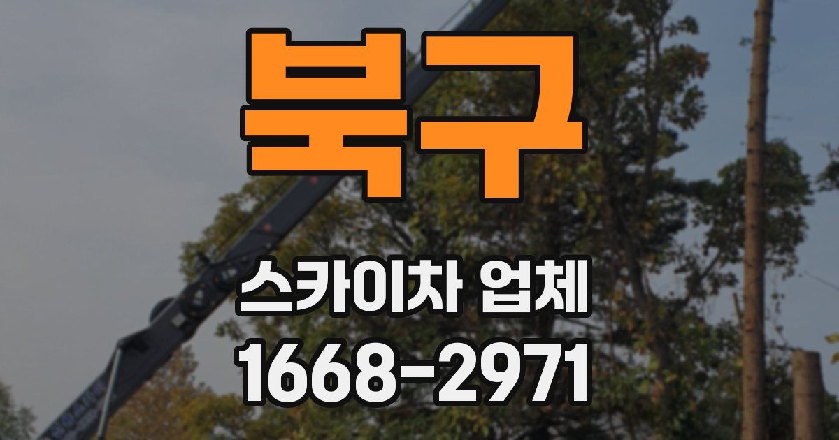 북구 스카이차 업체