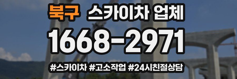 북구 스카이차 업체