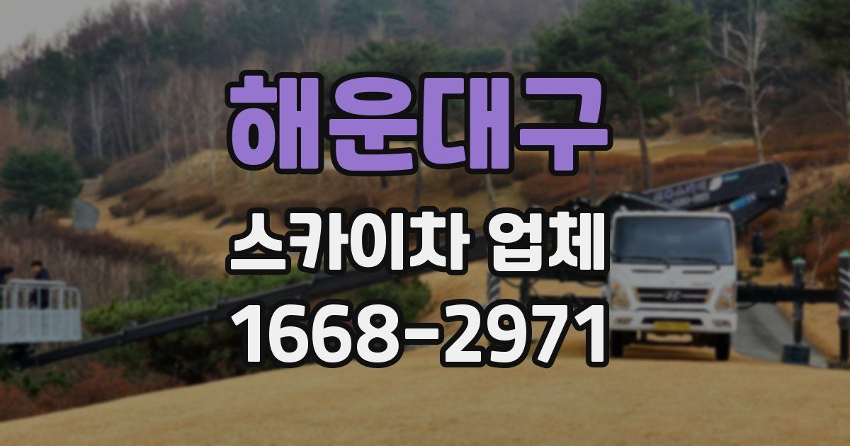해운대구 스카이차 업체