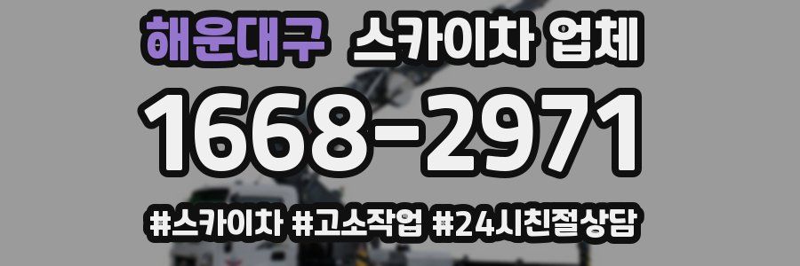 해운대구 스카이차 업체