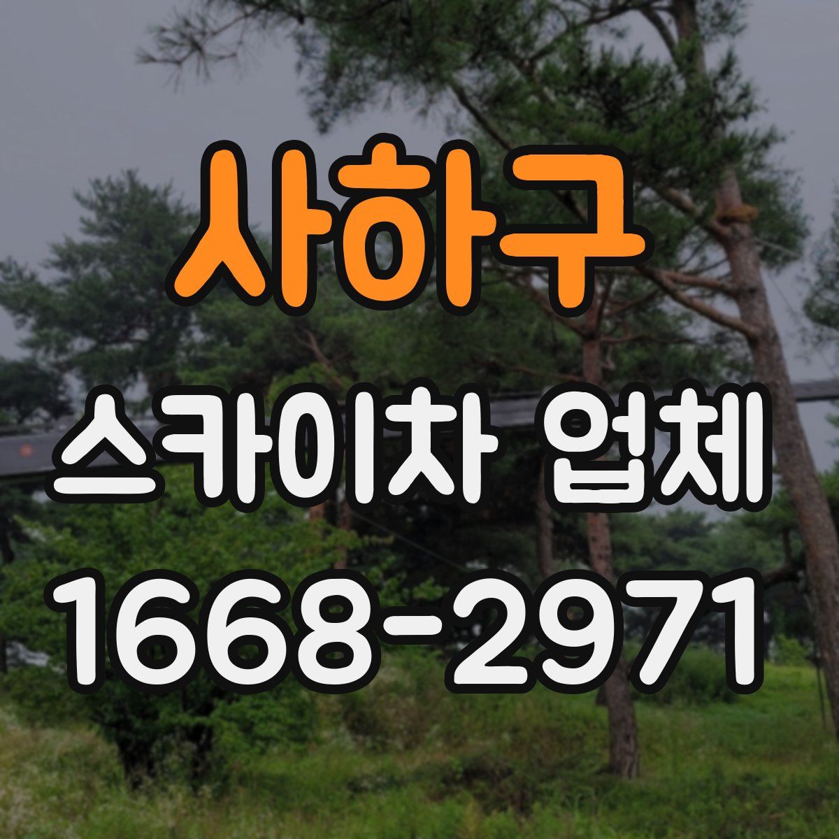 사하구 스카이차 업체