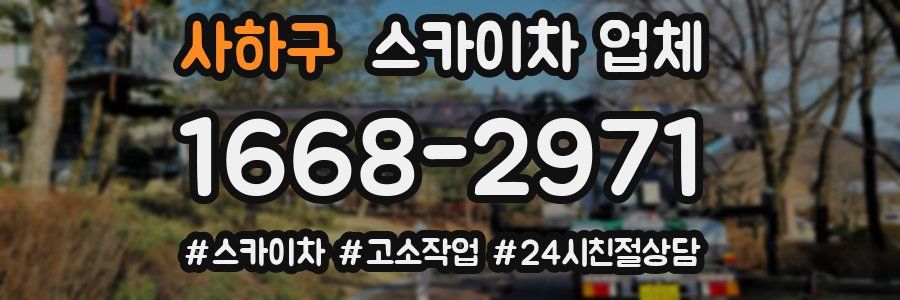 사하구 스카이차 업체