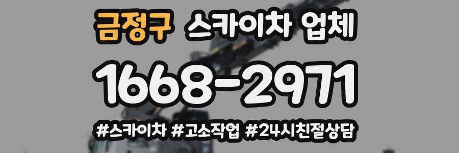 금정구 스카이차 업체